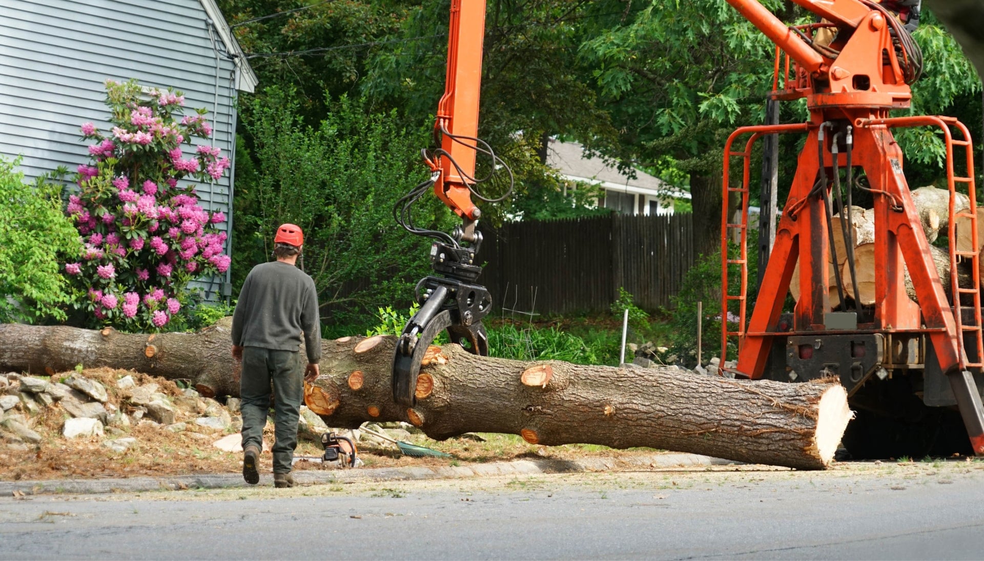 A tree knocked over by tree trimming professionals in Covington, GA.